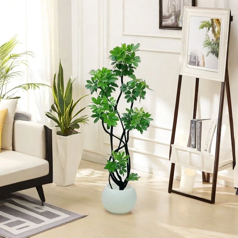 室内大型绿植鸭脚木大盆栽造型老桩净化空气客厅鹅掌木柴客厅绿植