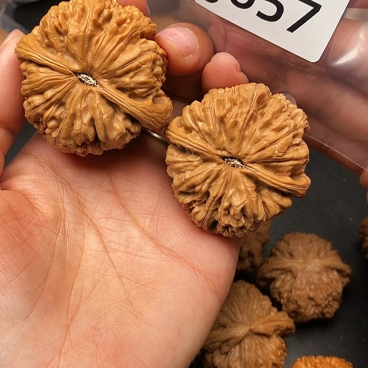 习****桃核吊坠J657粗筋