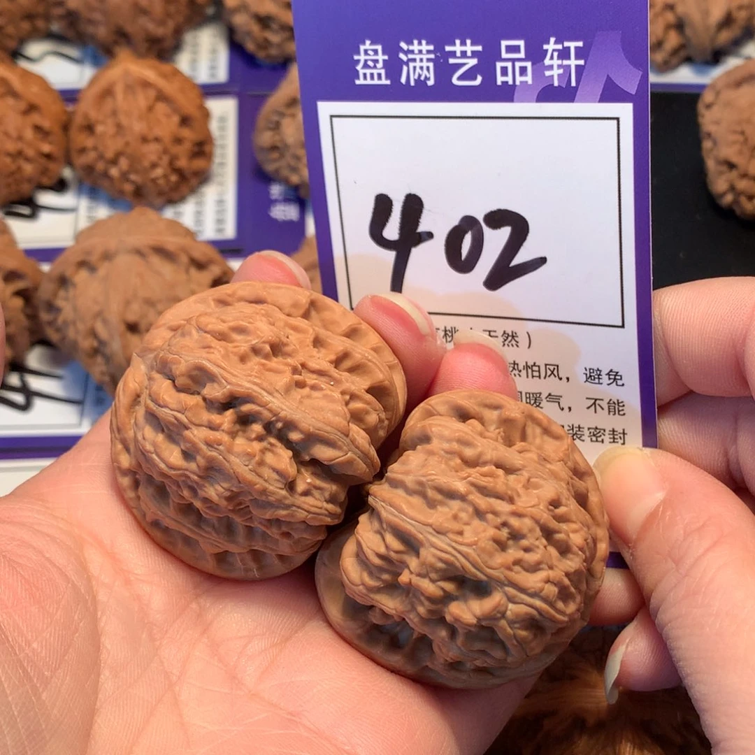 核桃402白狮子4.2全品