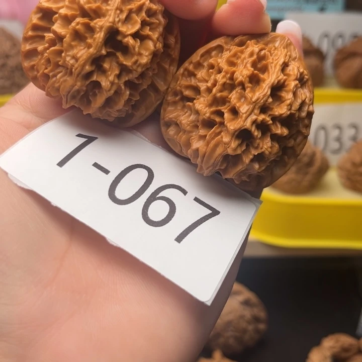 文玩核桃把件42帝王1067