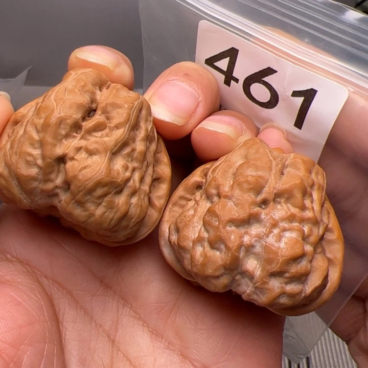 核桃40边肚同尺461号