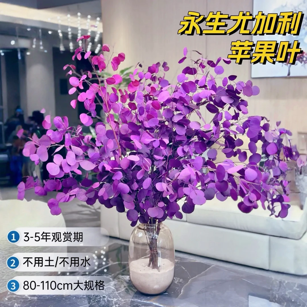 AAA级紫红色桌面苹果尤加利叶花材长期摆放高端家具软装鲜花