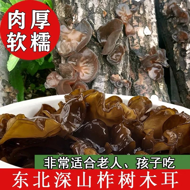 长白山柞木山木耳软糯滑嫩