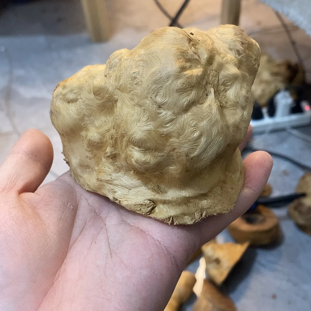 扬***尘荔枝木荔枝木原料