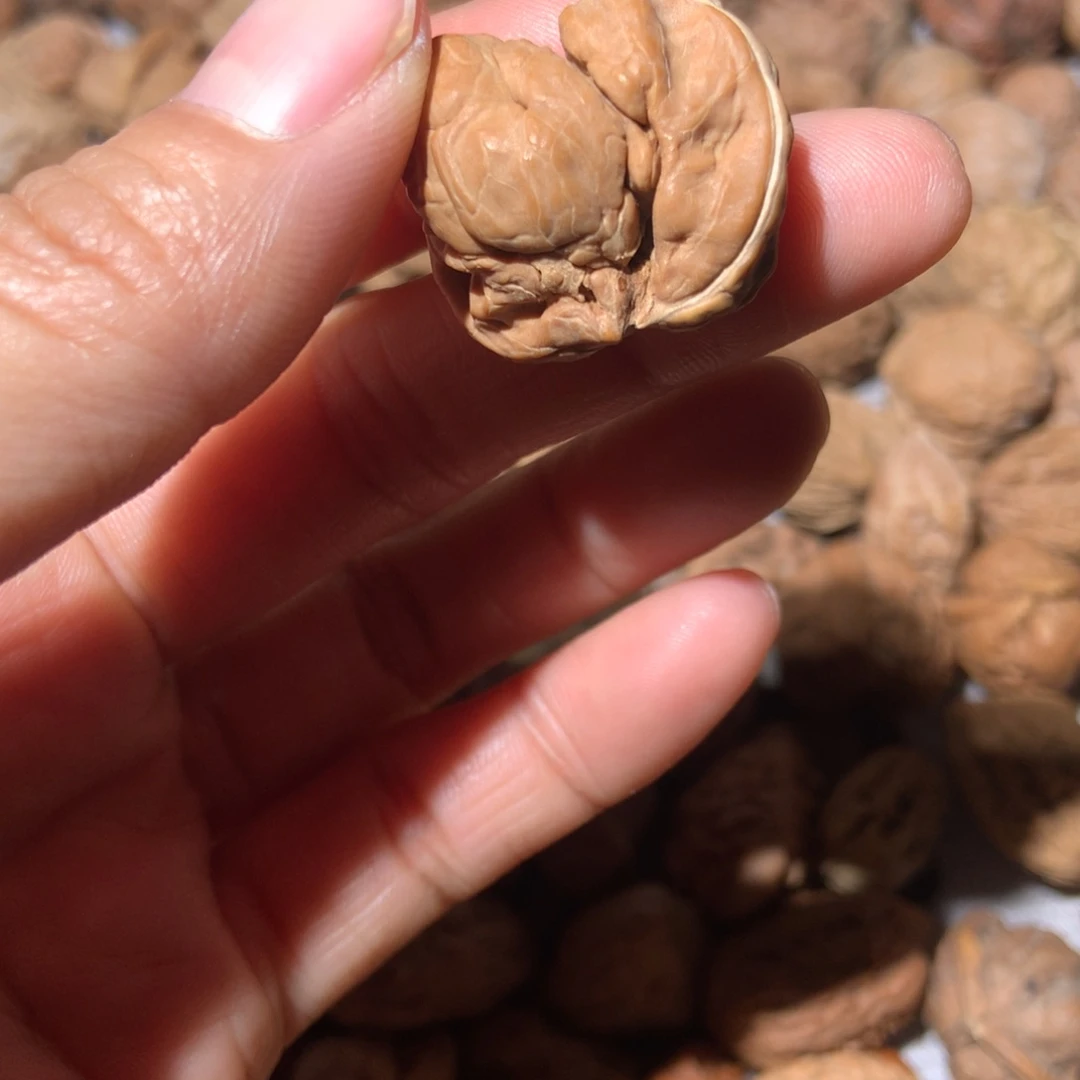 桃核把件是****狗文玩核桃