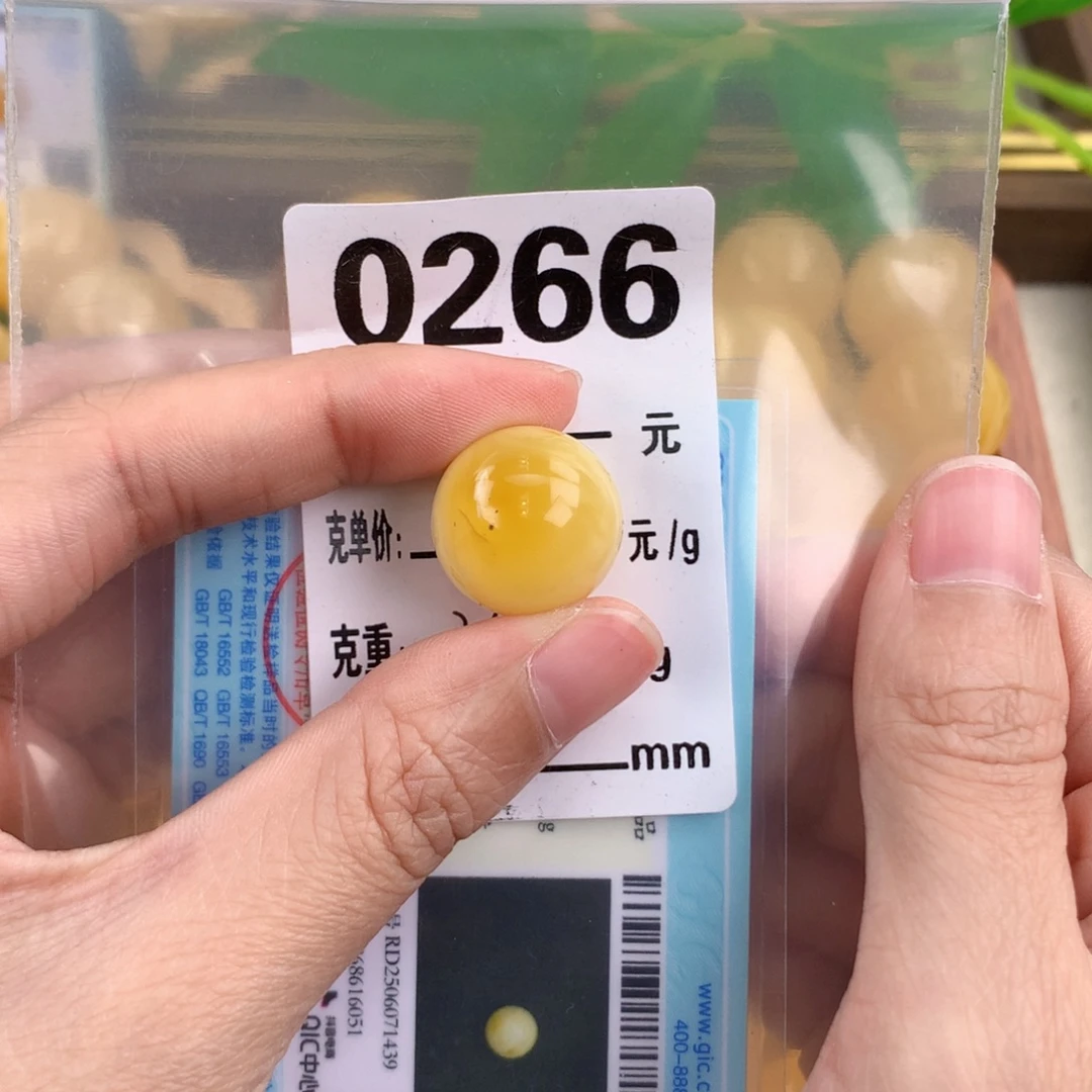 琥珀未镶嵌珠宝奇石17.5 植物