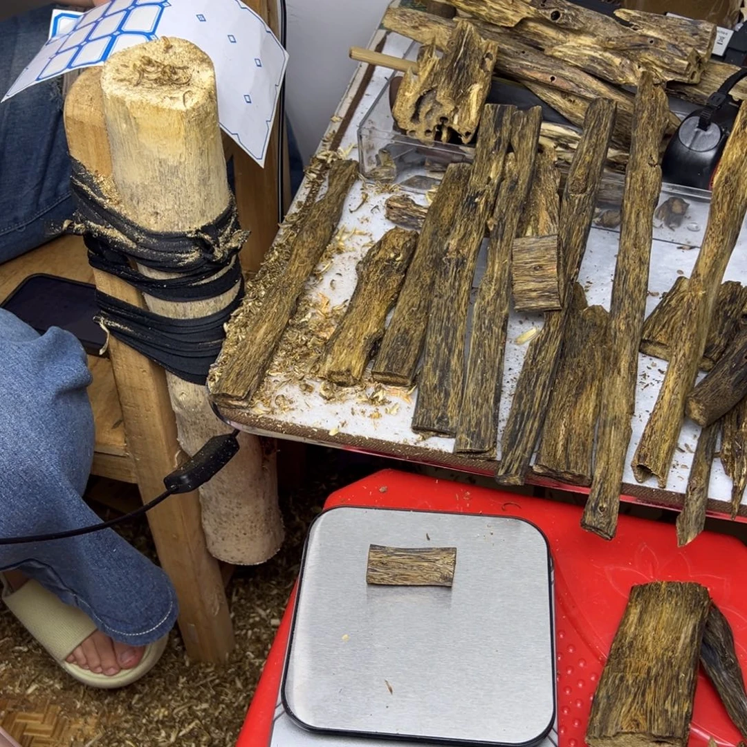 线香奇楠虫漏香9克