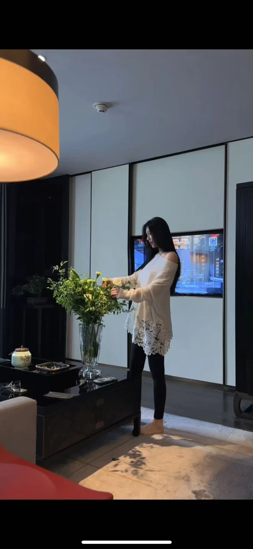 法式长袖常规款印花拼接圆领蕾丝韩版打底衫休闲显瘦