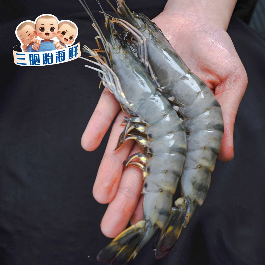 【顺丰发货】①新鲜美味黑虎虾大大号虎虾 约35-40只/盒 到手3斤/盒
