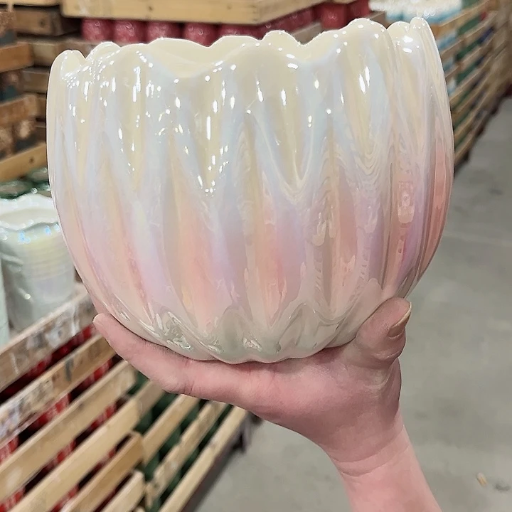 陶瓷陶瓷多肉植物花盆