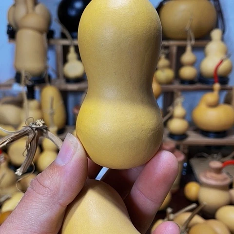 精品厚皮小冬瓜葫芦