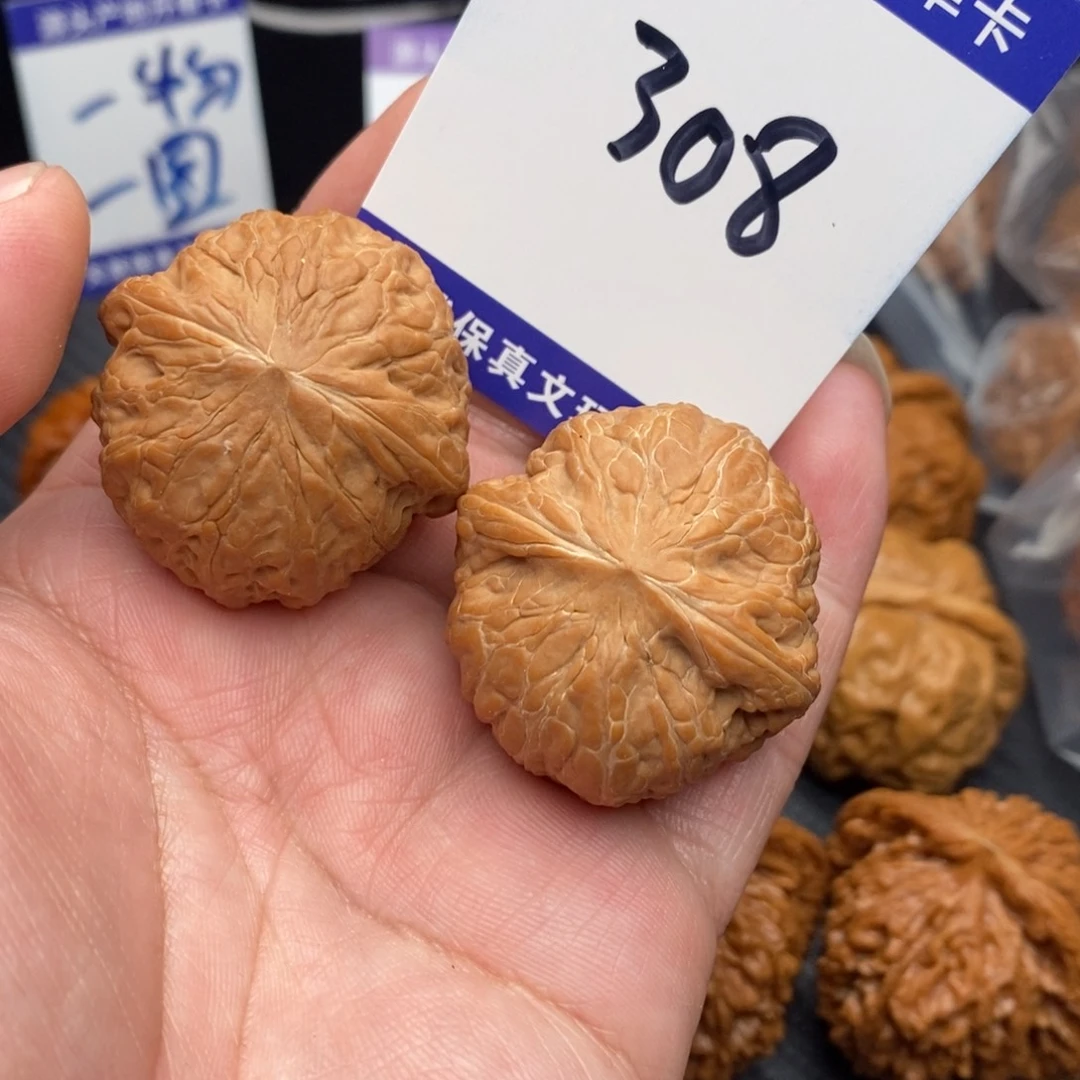 核桃铁锤妹妹36同尺全