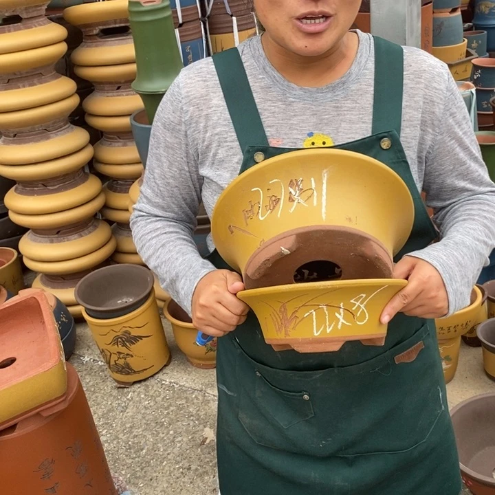 紫砂花盆盆栽花卉苗木种植