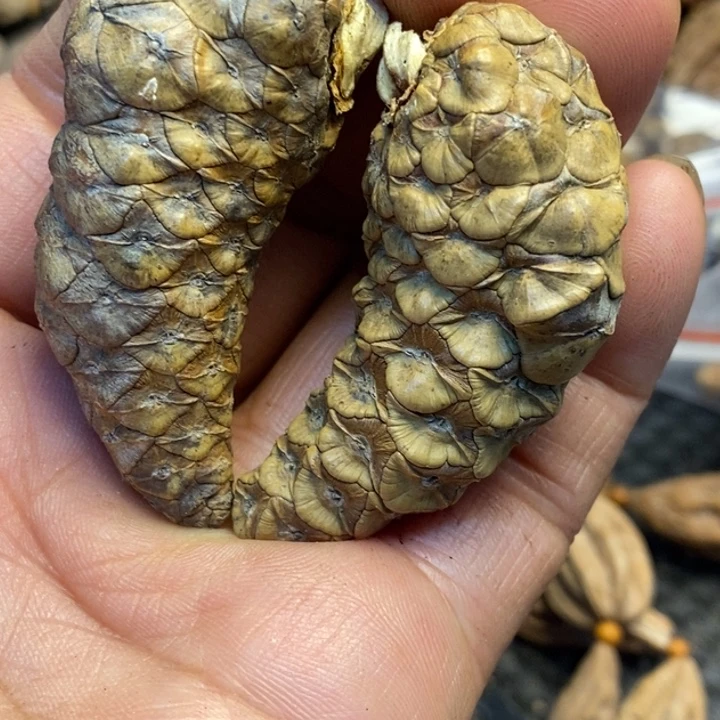 鼠***哥吊坠文玩核桃娜姐329