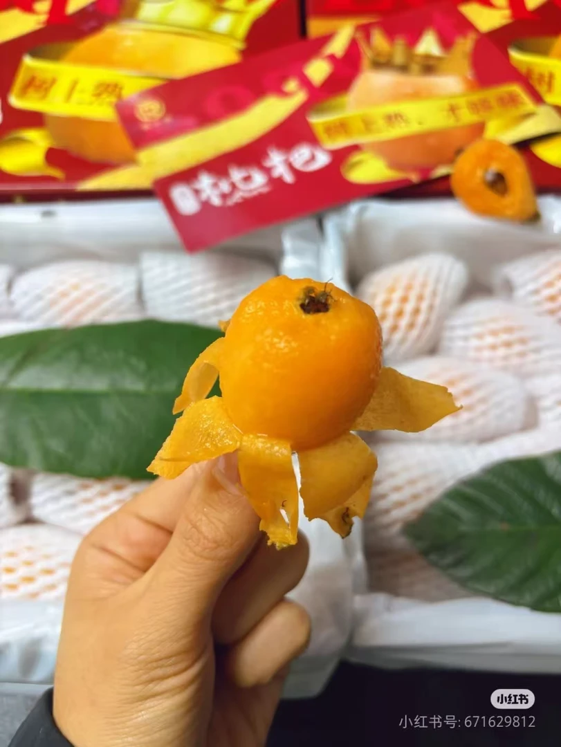 滇山派超甜高山枇杷一盒毛重2斤左右