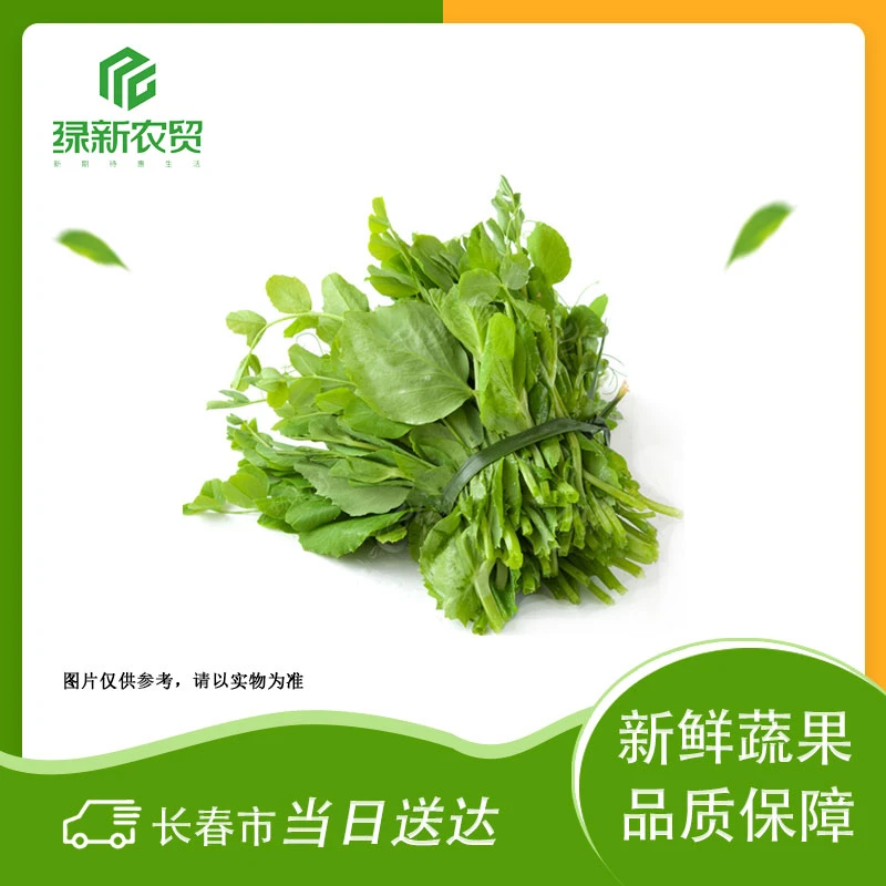 Y 豌豆尖 约250g±20g豌豆尖