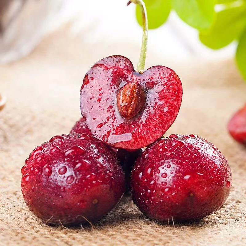 【王大水专属】进口智利车厘子海运 JJ 净重5斤顺丰包邮内附果径卡