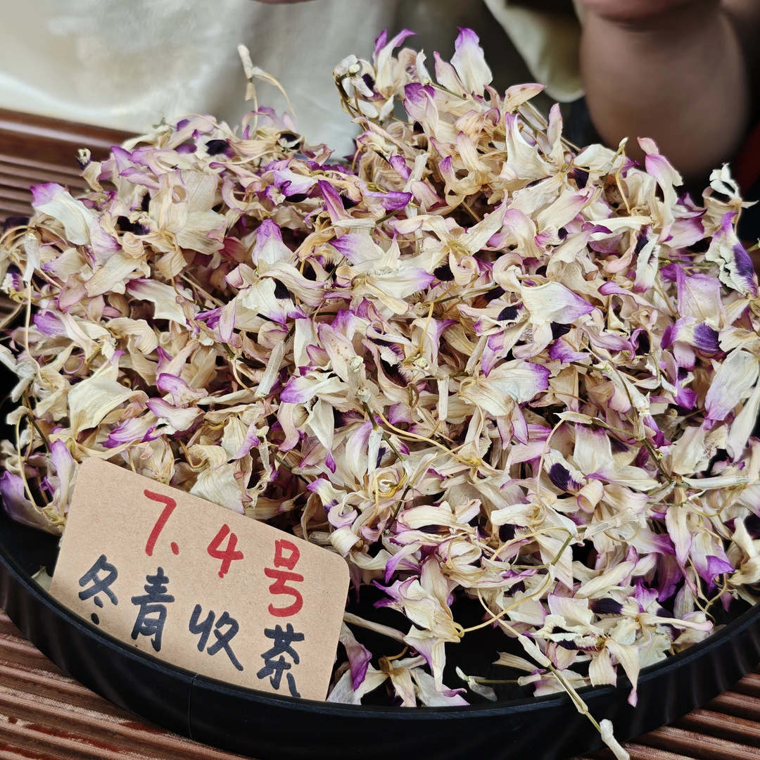 赤水丹霞金钗石斛花 冬青收茶