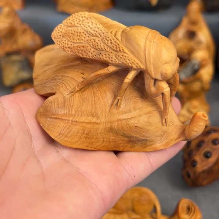 柏木（崖柏）点点关注