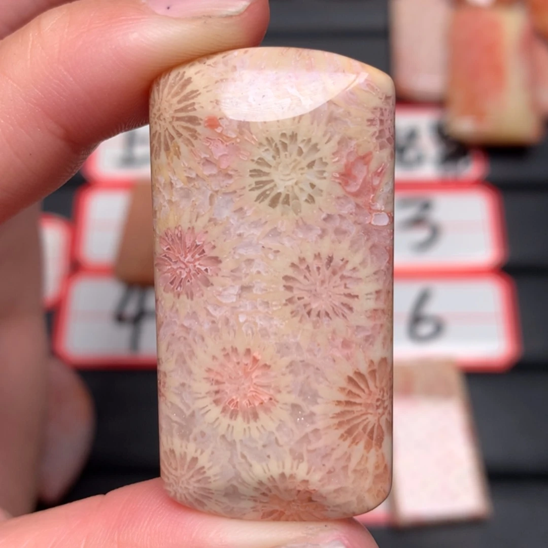 【闪购商品】硅化玉颈饰未镶嵌?**?