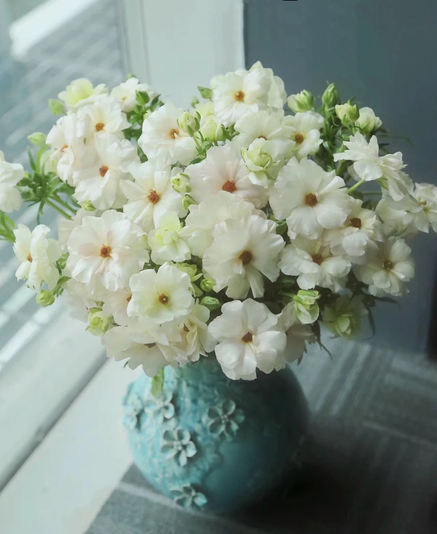 【如熙臻品】奶油色蝴蝶洋牡丹（注意：实物以直播间展示为准哦！）