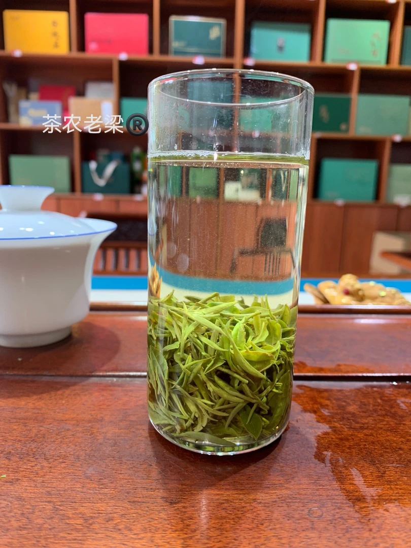 [2025新茶]茶农老梁®信阳毛尖次芽老旱茶茶叶爽口甘甜