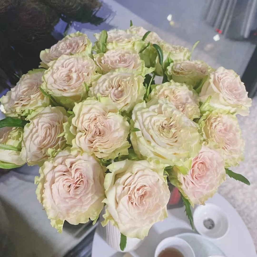 【植迷不误】上官婉儿玫瑰 居家 花束 插花 云南鲜花 基地包邮直发