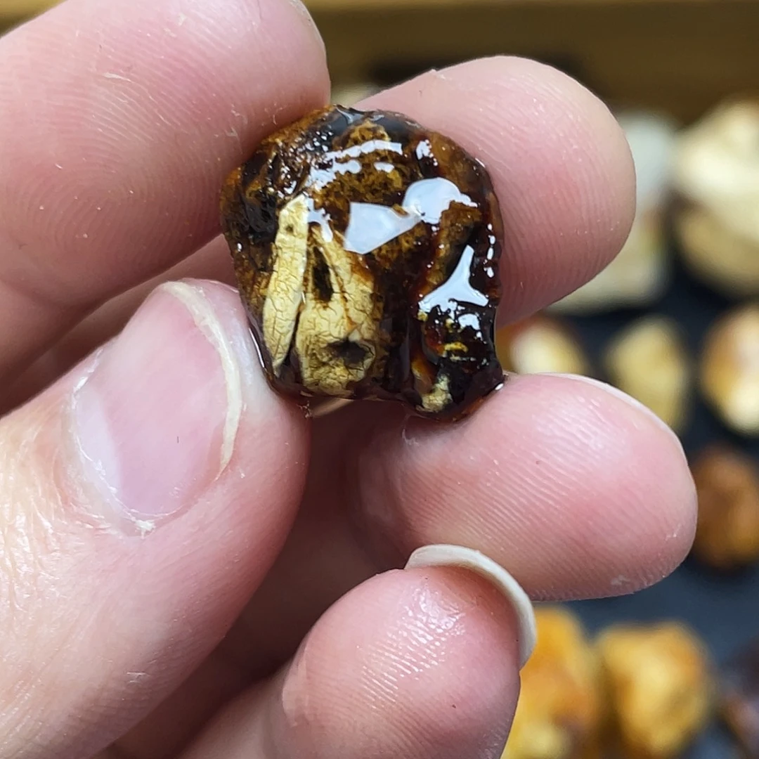 定制琥珀未镶嵌定制