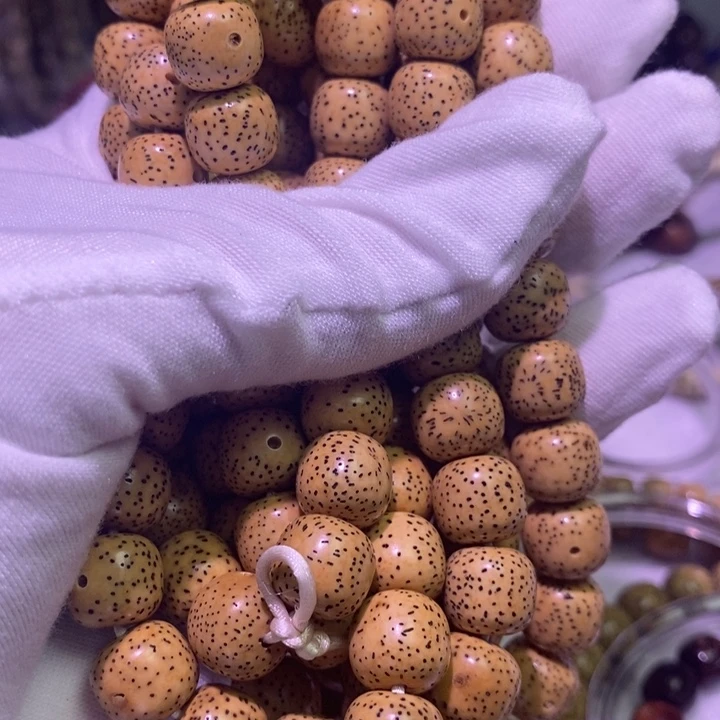 ****️星月菩提手串海南