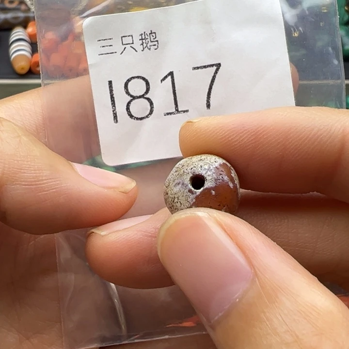 吊坠菩提根/象牙果