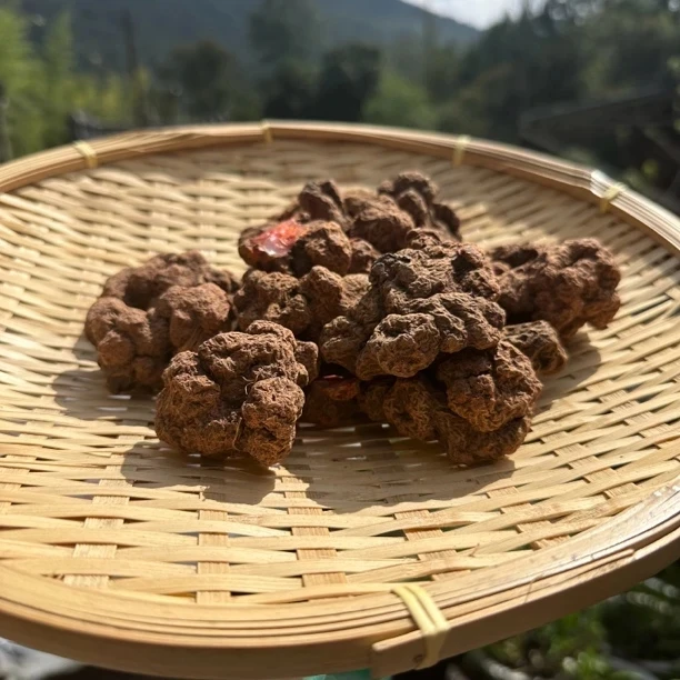 桖-叁-戚 土特产-菇