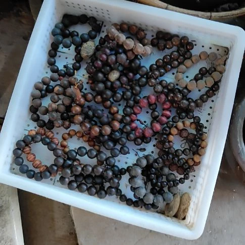 共***赢水晶玻璃吸管款好东西谢谢支持你好