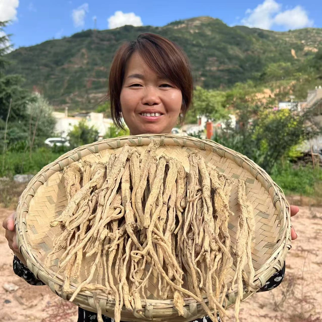 【大野党参】甘肃精选大条野党参 特大条250克包邮