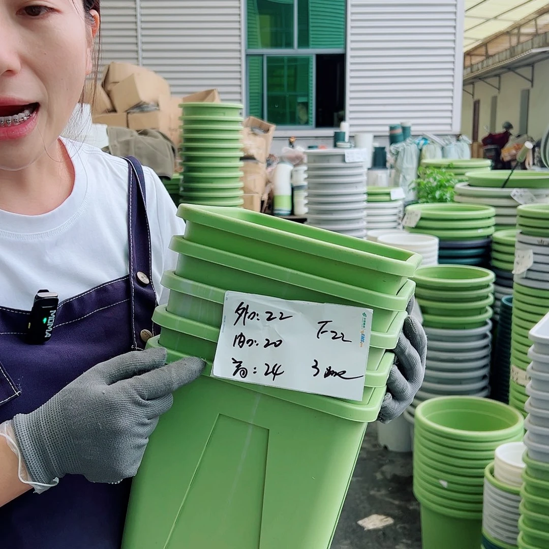 方盆F22果绿5个无托