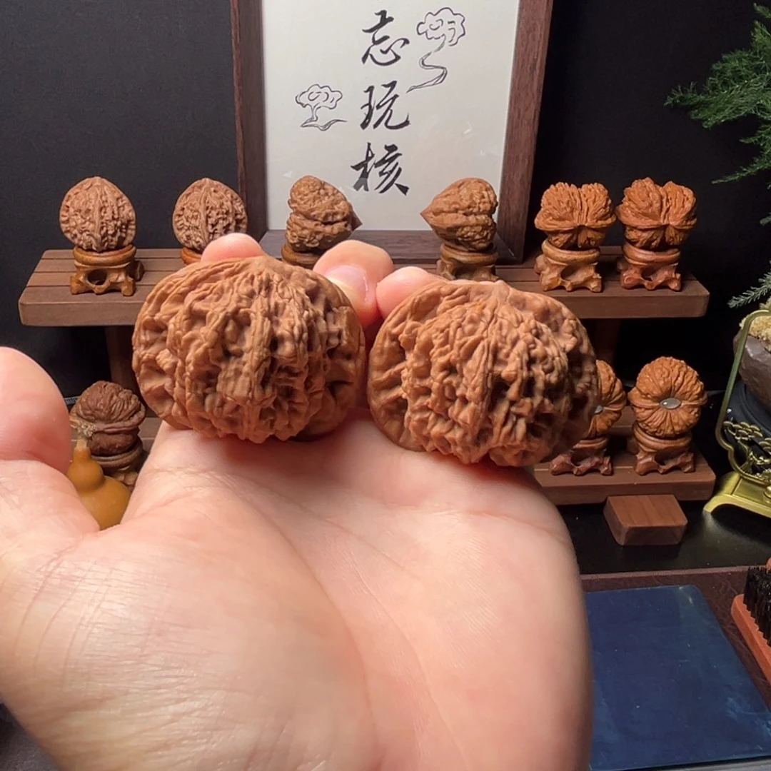 核桃46mm全品狮虎兽，一物一图