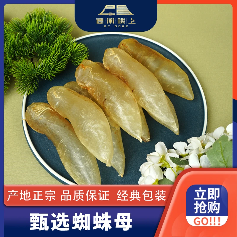 德承行优选  越南蜘蛛母筒Y