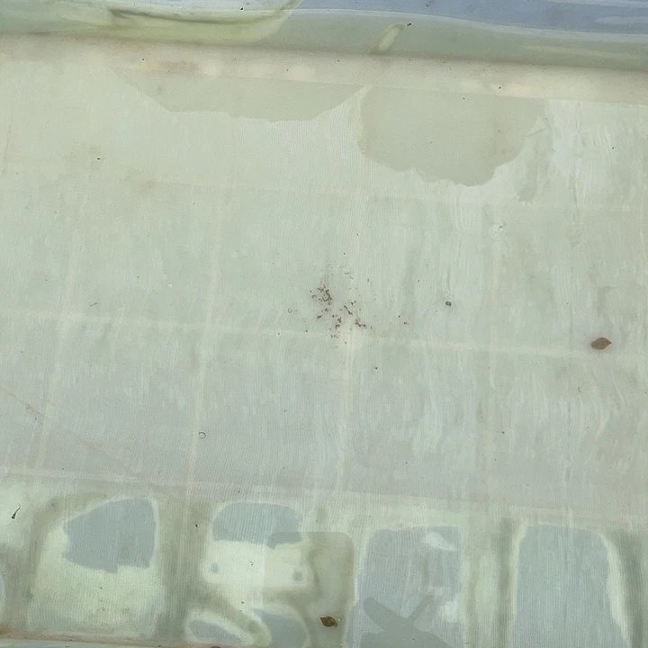 孔雀鱼宠物龟大型鱼专用活体鱼食