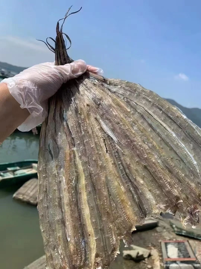 汕尾特产渔民自晒烧烤海鳗鱼片美味水产干货
