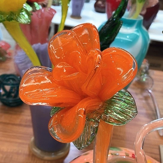 夜光花高45厘米宽12厘米