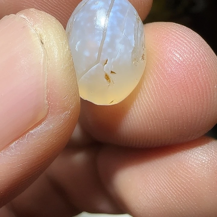 藏区老唐球保老漂亮