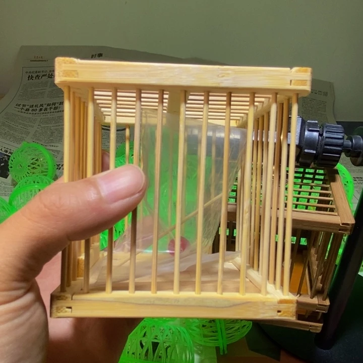 竹笼一个带蝈蝈一只送饲料一盒