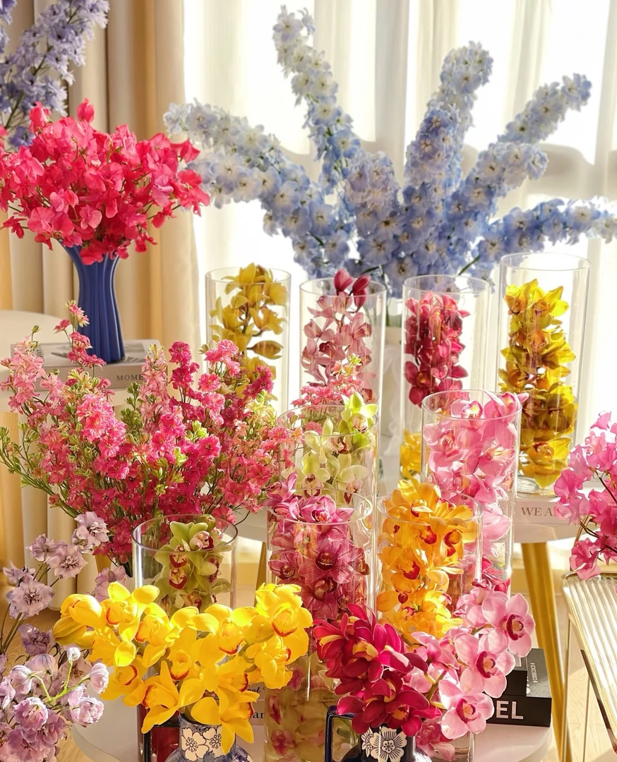 双A级大花蕙兰鲜切花水果 香味 花期超长待机