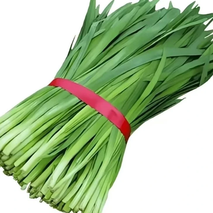 新鲜韭菜300g±50g绿色蔬菜韭菜