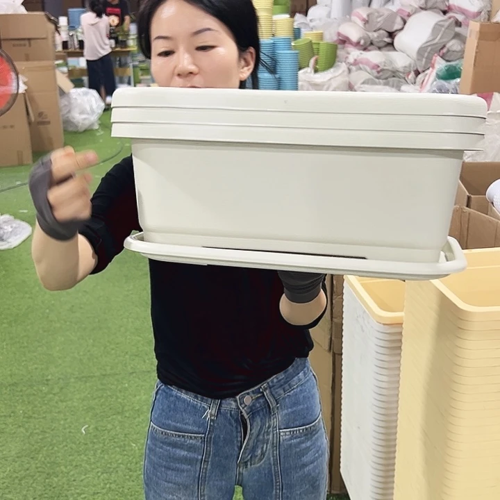 菜盆长38宽28高14.5米色3个带托