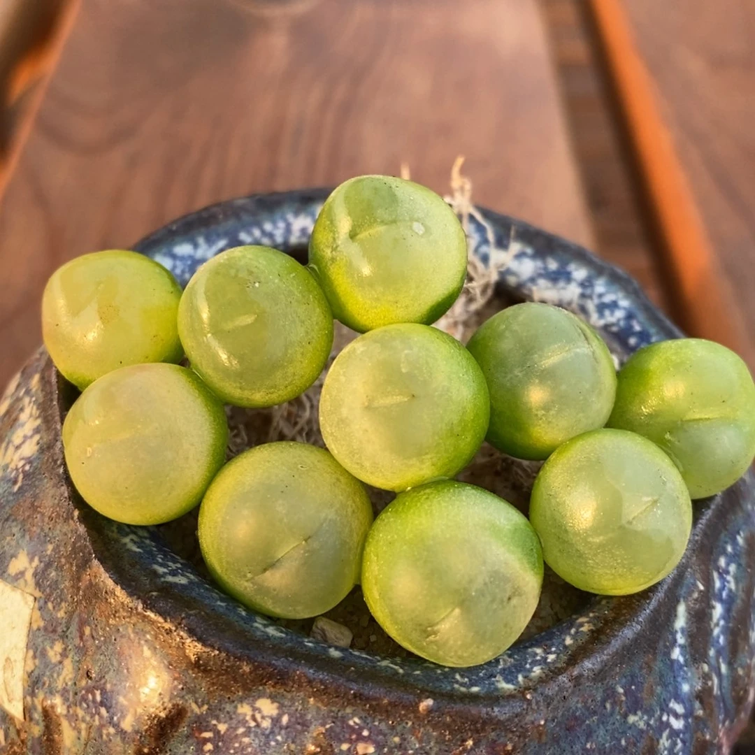 用****510101一组一组一组