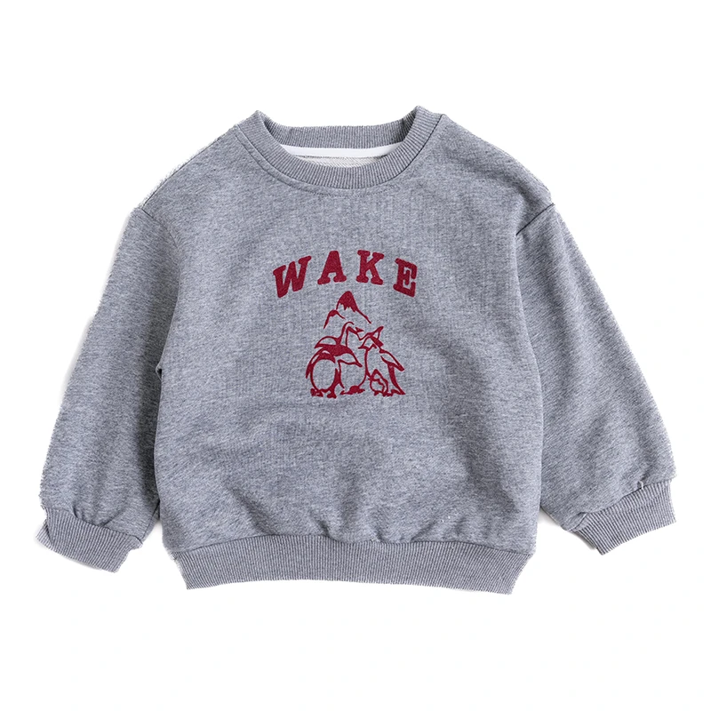 【启萌】B韩版时尚百搭休闲潮流洋气长袖儿童卫衣C2A3015T