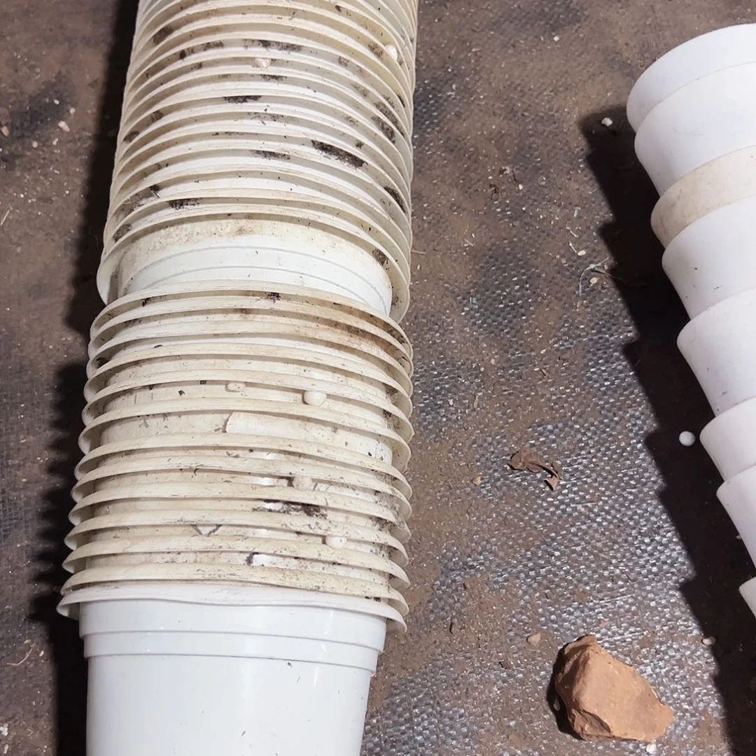 一条白圆盆14口径10.5高 一条 打包