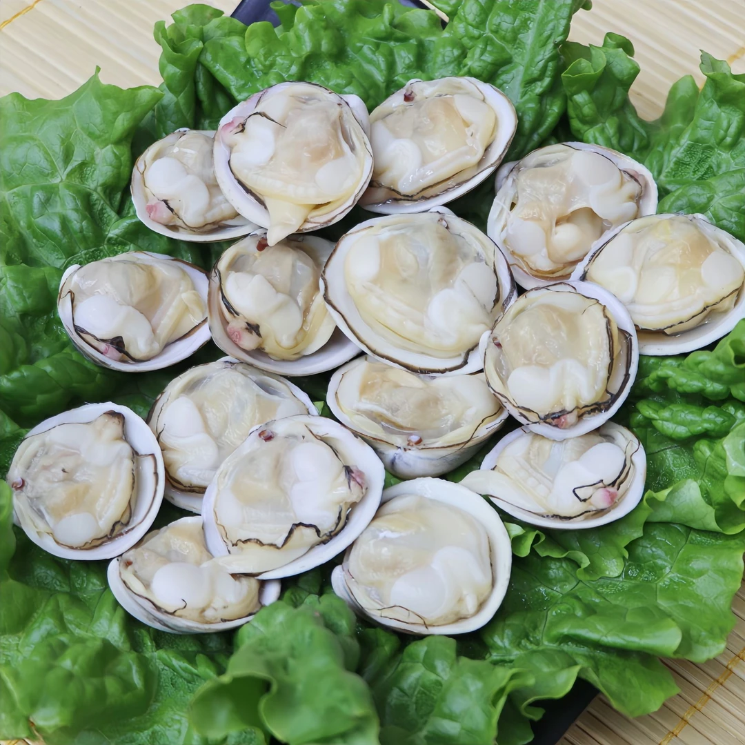 原汁白蛤500g/袋*3袋 东港原味冻煮即食海鲜白蚬子顺丰包邮