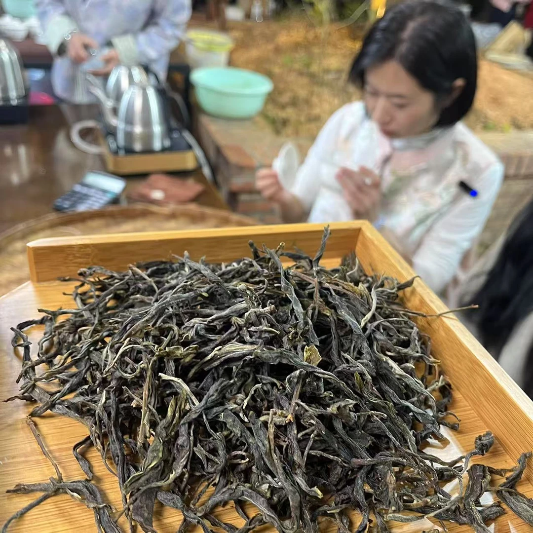 【2.13】帮骂大雪山 2024 普洱茶 晒红散茶 500g