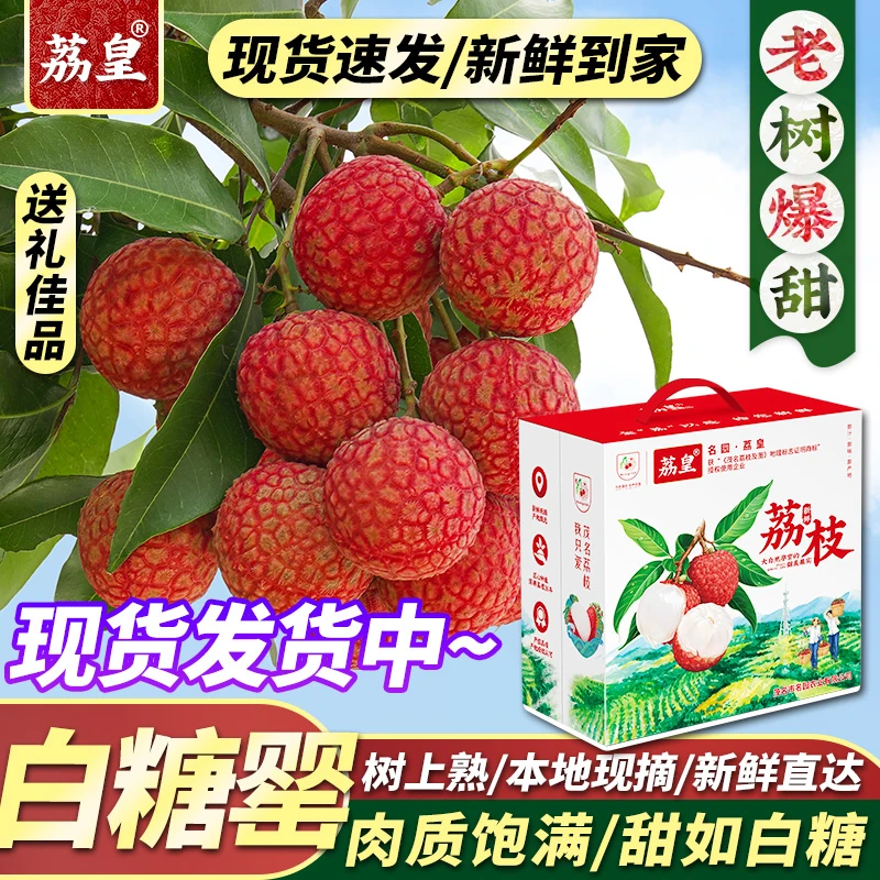 荔皇白糖罂荔枝茂名高州新鲜现摘端午送礼水果CLR陈丽容专属